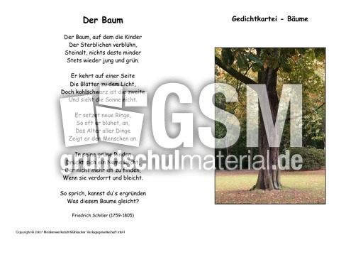 Der-Baum-Schiller.pdf